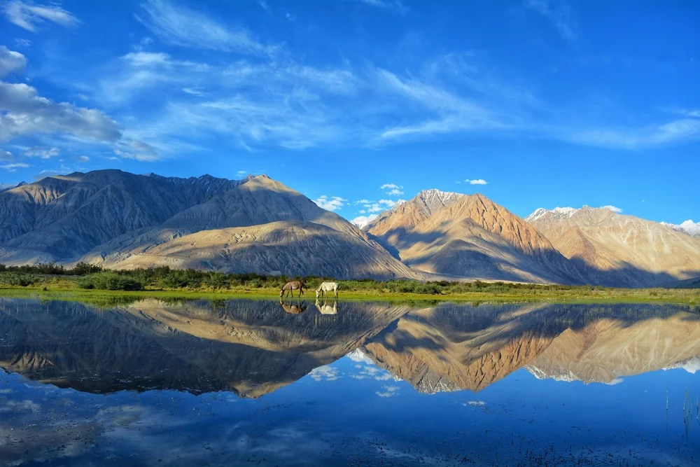 ladakh-2